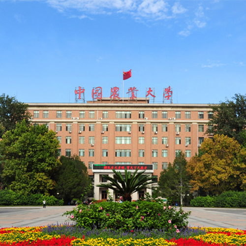 大學(xué)文化