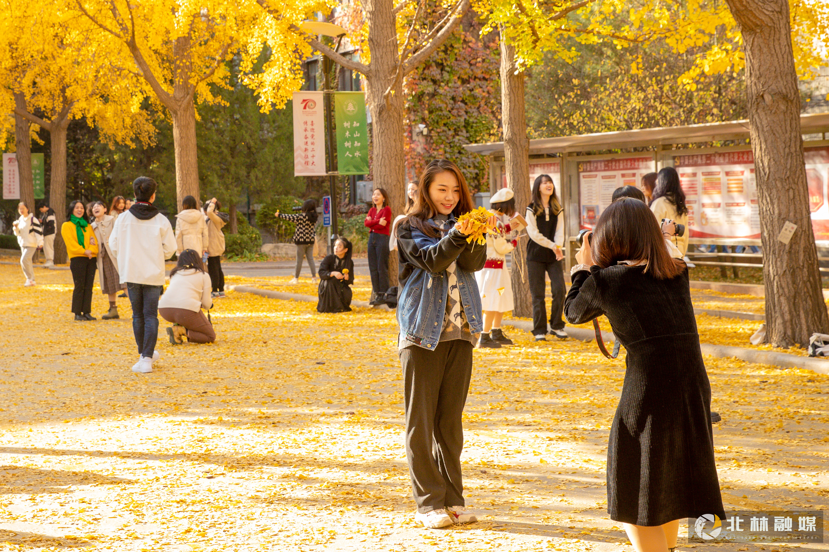 北京林業(yè)大學(xué) 早安青春