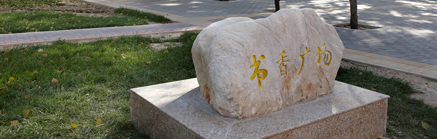 對外經(jīng)濟貿(mào)易大學 我的大學