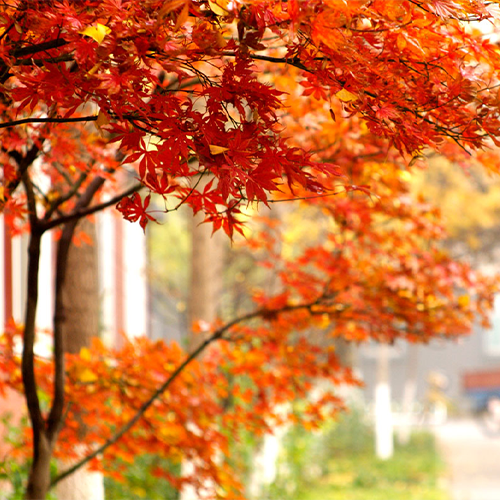 北京物資學(xué)院-大學(xué)文化