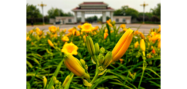 中國消防救援學(xué)院 - 最美大學(xué)