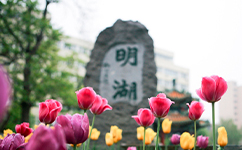 歷史沿革(概)校史