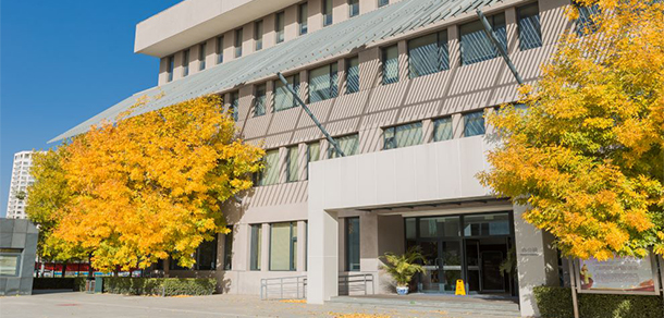 我的大學-大學志