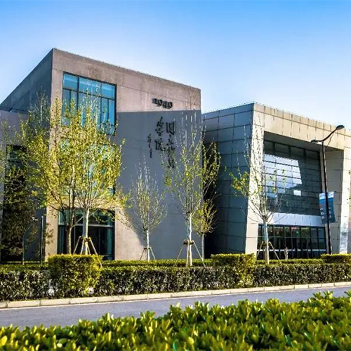 我的大學(xué)