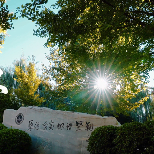 大學(xué)簡介