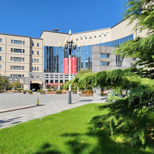 我的大學