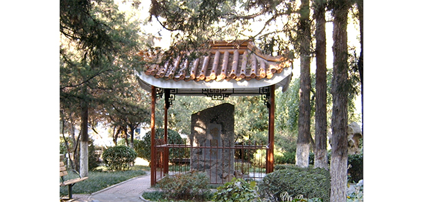 中國勞動關(guān)系學(xué)院 - 最美大學(xué)