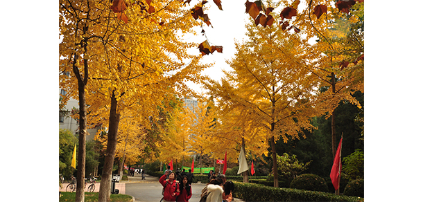 中國勞動關(guān)系學(xué)院 - 最美大學(xué)