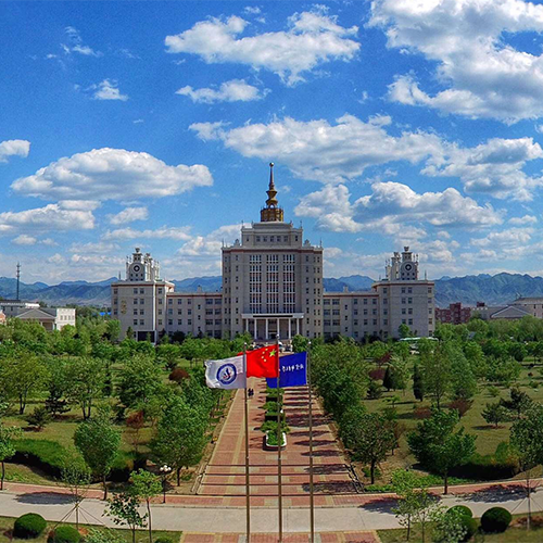 我的大學(xué)