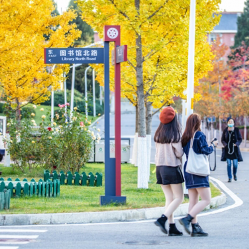 我的大學(xué)