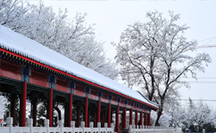 文化標(biāo)識(shí)：校名題寫(xiě) / 校徽設(shè)計(jì)