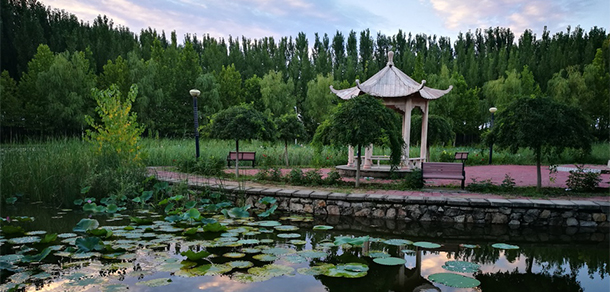 北京經(jīng)濟技術(shù)職業(yè)學(xué)院 - 最美大學(xué)