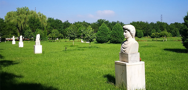 北京經(jīng)濟技術(shù)職業(yè)學(xué)院 - 最美大學(xué)