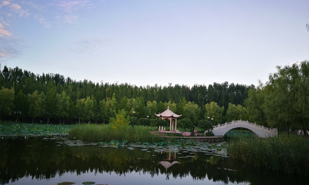 北京經(jīng)濟(jì)技術(shù)職業(yè)學(xué)院 校園文化