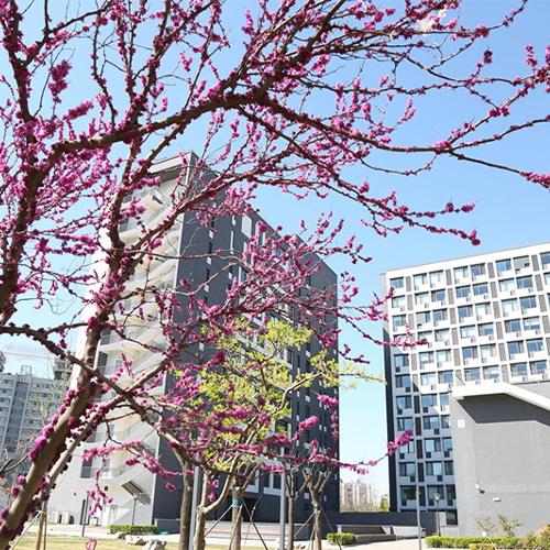 最美大學(xué)