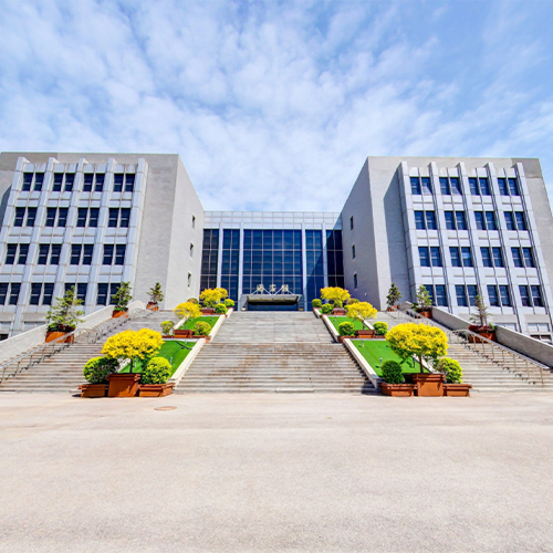 我的大學(xué)
