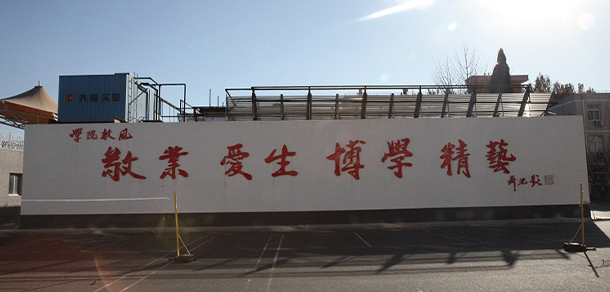 我的大學(xué)-大學(xué)志