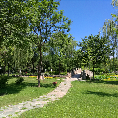 校志校史