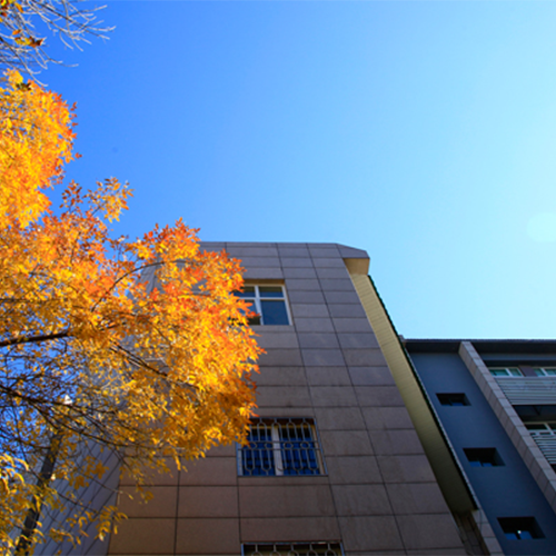 最美大學
