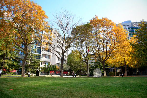 北京青年政治學院 我的大學