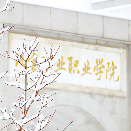 大學志