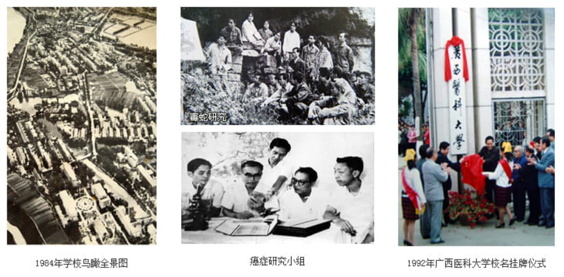 改革開(kāi)放以后（1978年—2023年）