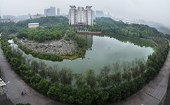長江師范學(xué)院 - 我的大學(xué)
