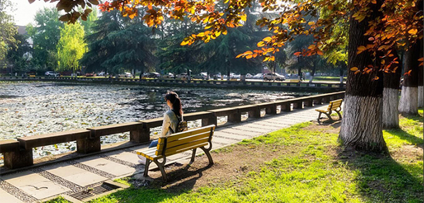四川大學 - 最美大學