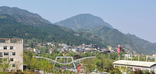 我的大學(xué)-大學(xué)志