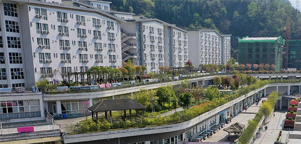 我的大學(xué)-大學(xué)志