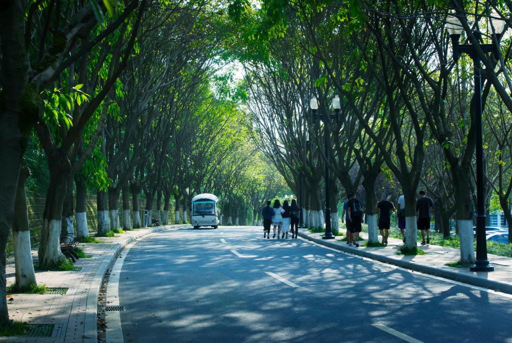 成都大學 早安青春