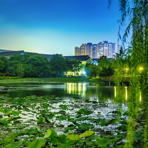 大學(xué)志