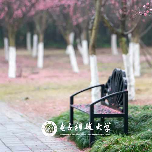 電子科技大學-流金歲月