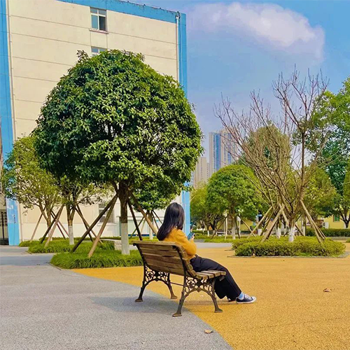 電子科技大學-大學文化