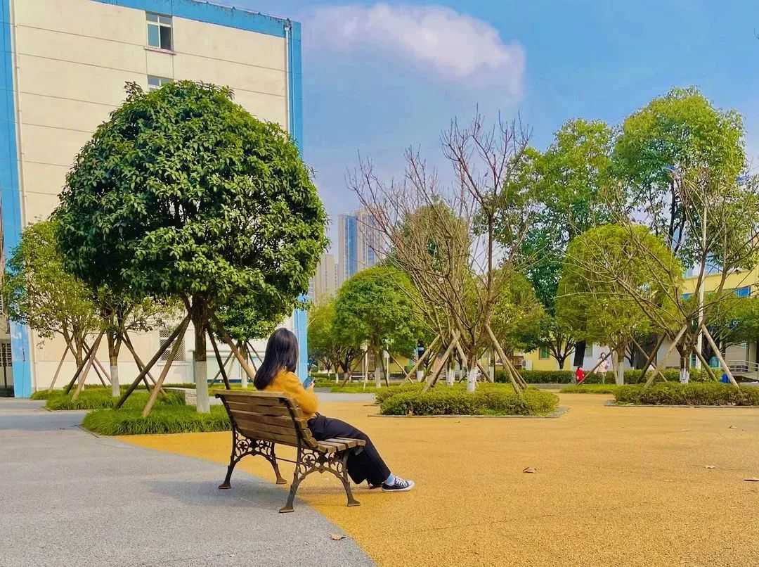 電子科技大學 我的大學