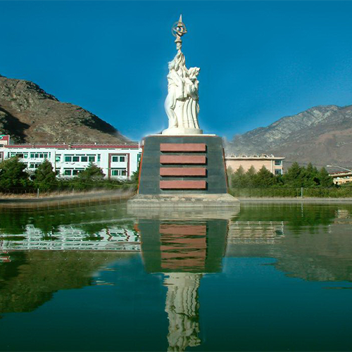 大學(xué)簡介