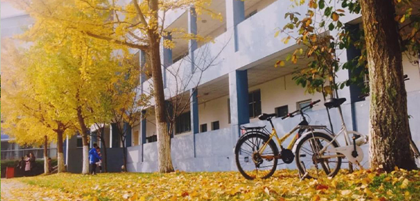 電子科技大學成都學院
