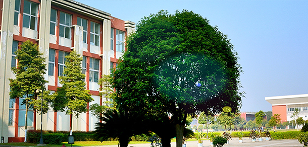 電子科技大學成都學院