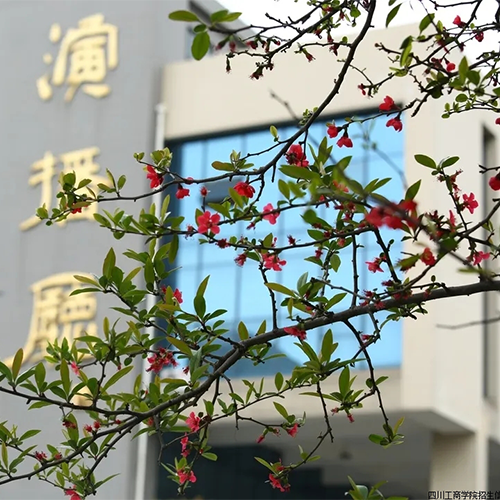 大學(xué)志