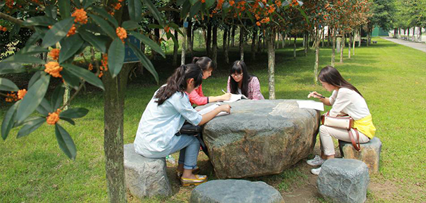 我的大學(xué)-大學(xué)志