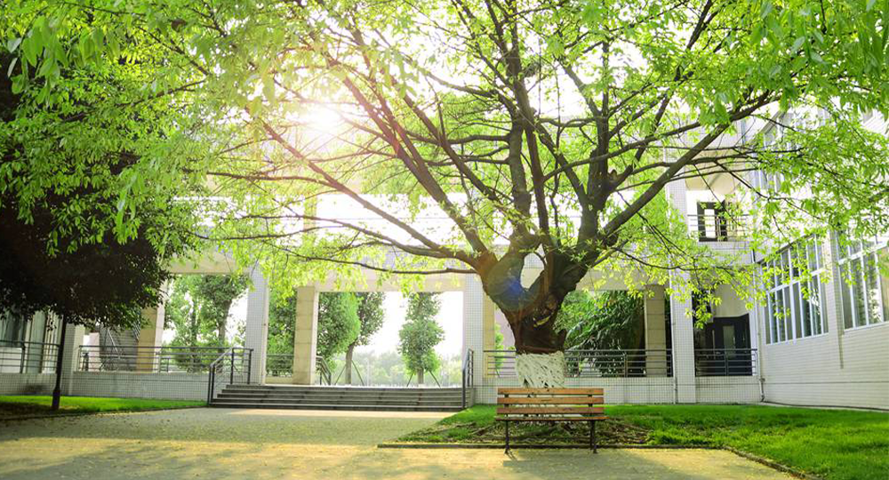 四川大學(xué)錦江學(xué)院
 校園文化