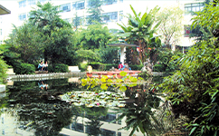 四川商務職業(yè)學院 - 我的大學