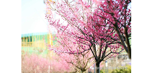 四川幼兒師范高等?？茖W(xué)校 - 最美大學(xué)