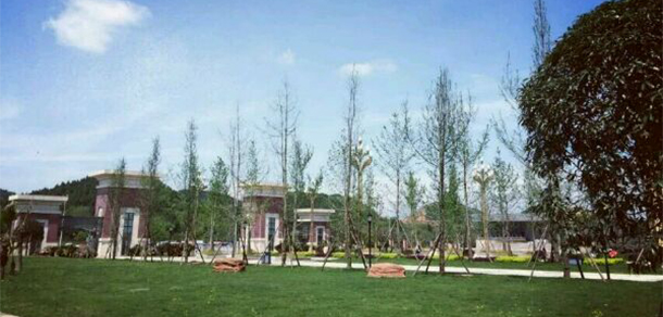四川護理職業(yè)學(xué)院 - 最美大學(xué)