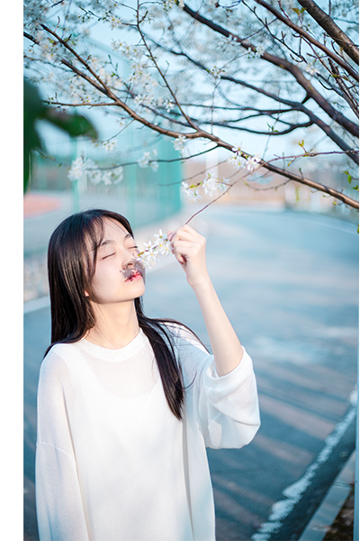歲月流金 · 青春不散場