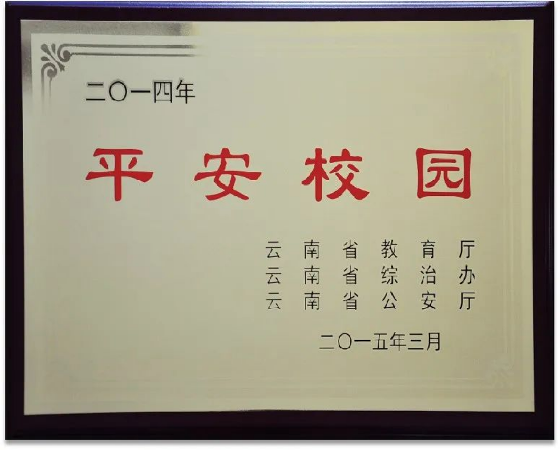 麗江文化旅游學(xué)院（原云南大學(xué)旅游文化學(xué)院）2022年專科招生簡章