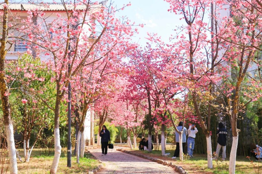 麗江文化旅游學(xué)院（原云南大學(xué)旅游文化學(xué)院）2022年?？普猩喺? width=