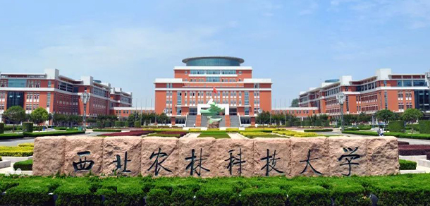 center