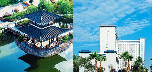 我的大學-大學志