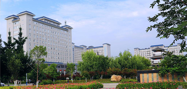我的大學-大學志